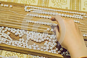 Extraction of pearls. Pearls at a pearl factory
