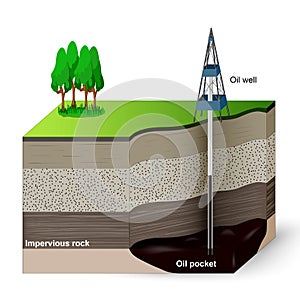 Extraction of petroleum