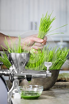 Extraction of Wheatgrass in Action on the Kitchen Countertop using a Manual Juicer