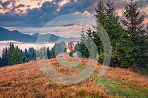 Extraordinary autumn sunrise in Carpathian mountains with country road.