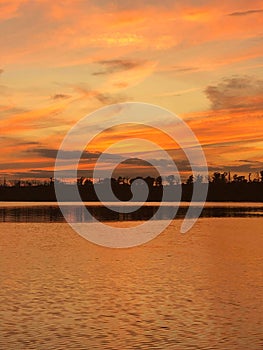 Extraordinary Captivation