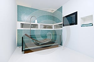 Extraordinary designer bathroom with glass bathtub