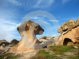An extraordinary stone mushroom from Cappadocia, Turkey.