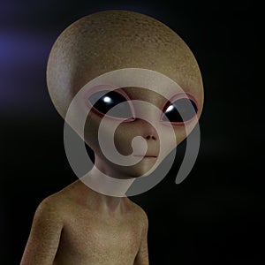 Extraterrestrial Alien photo