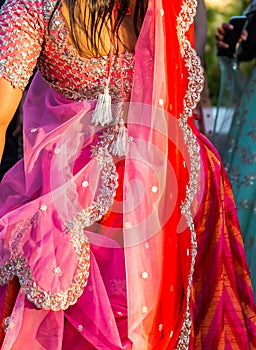 Extravagant sari dress worn by a guest at a wedding in India