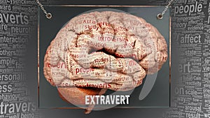Extravert in human brain