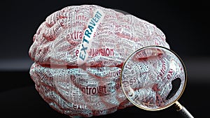 Extravert in human brain photo
