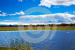 Extremadura dehesa grasslands lake in Spain photo