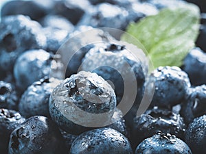 Extreme close up Blueberries