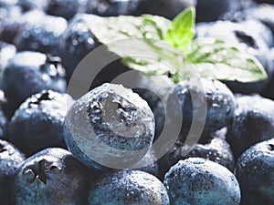 Extreme close up Blueberries