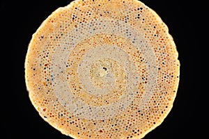 Extreme close-up of Foraminifera shell from coral sand photo