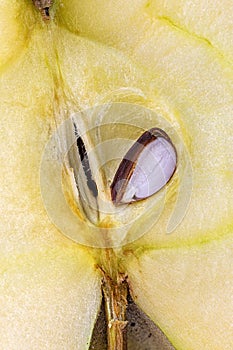 Extreme close-up of an halved apple with  core