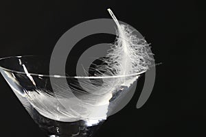 An extreme close-up and macro photograph of a feather