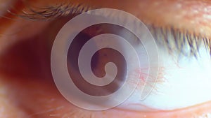 Extreme Close-up Male Human Eye Blinking