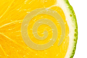 Extreme Close-up of Organic Indian Citrus fruit sweet limetta or mosambi Citrus limetta with its sliced part , it is an green photo