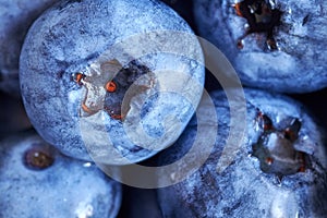 Extreme close up picture of ripe and fresh blueberries.