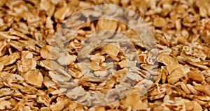 Extreme close up of a plate full of spelled flakes