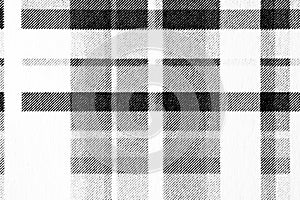 Macro Halftone Black and White Plaid Pattern