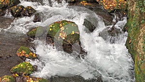 Extreme close up of small mountain stream and little waterfall on the background. Pacific river. Quiet nature. Wild