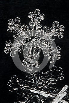 Extreme Close Up of Snow Flake