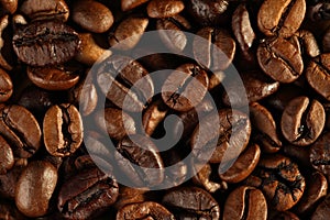 Extreme close up, top down of freshly roasted, shiny coffee beans. Macro food texture background