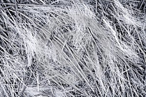 Extreme close up, top down view of a mixture of polypropylene, filament micro fibers and steel, end hooked fibers for concrete