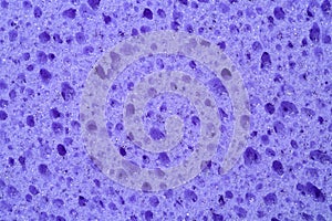 Extreme close up of a violet sponge texture background