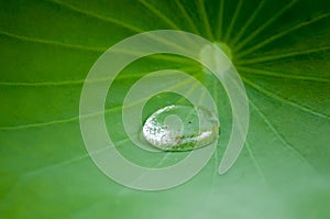 Extreme close-up of water droplet on leaf