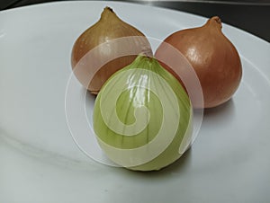 Extreme close up white onion in ovale plate