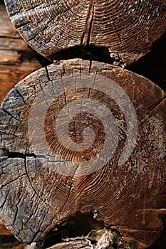 Old Logs Background