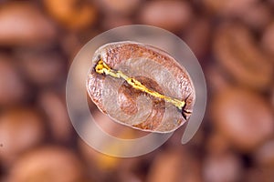 Extreme closeup of a coffee bean