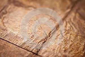 Extreme closeup of crumpled brass foil texture