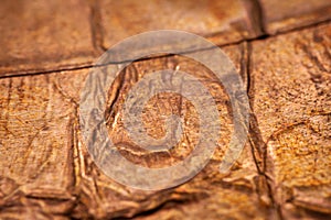 Extreme closeup of crumpled brass foil texture