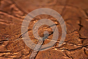 Extreme closeup of crumpled brass foil texture