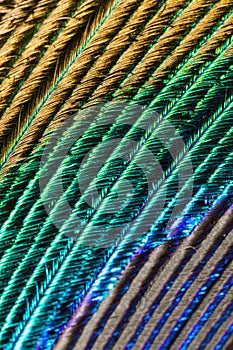 Extreme closeup of the feather of a peacock with beautiful colors