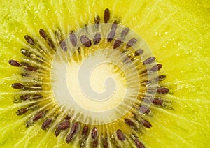 Extreme closeup of kiwi fruit