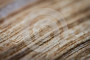 Extreme closeup of an old book from the side