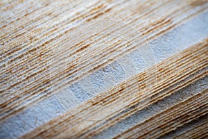 Extreme closeup of an old book from the side