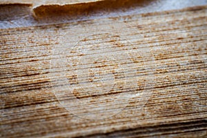 Extreme closeup of an old book from the side