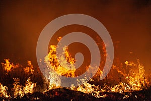 Extreme closeup of raging grass wildfire at night. Inspiration for danger, bushfire warning, posters or memes. Wallpaper or