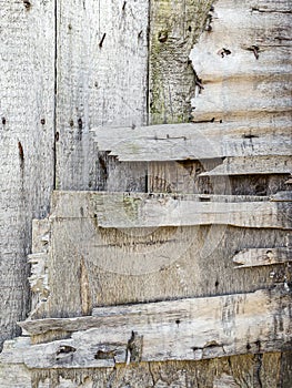 Extreme distressed weathered wood texture