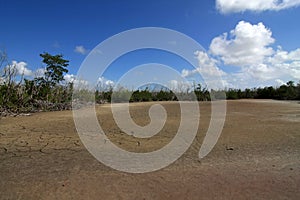 Extreme drought in Everglades National Park.