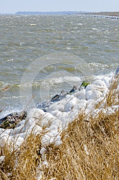 Extreme Ice Storm at the coats of a dutch lake, Netherlands