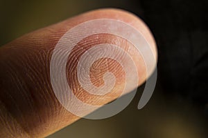 An extreme macro closeup of a fingertip