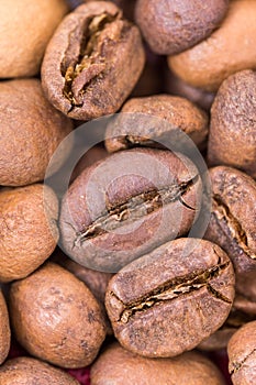 Extreme macro coffee beans background