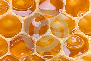 Extreme macro honeycomb