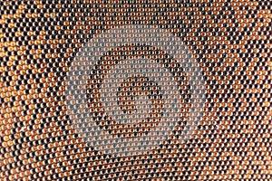 Extreme magnification - Fly compound eye at microscope, 20x magnification