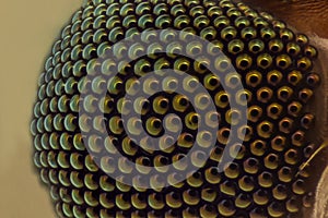 Extreme magnification - Mosquito head