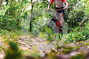 Extreme Mountain Biking, Cyclist ride on MTB trails in the Green Forest with Mountain Bike, Outdoor sports activity fun and enjoy