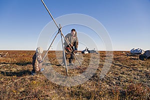 The extreme north  reindeer in Tundra  Deer harness with reindeer  young male reindeer herder